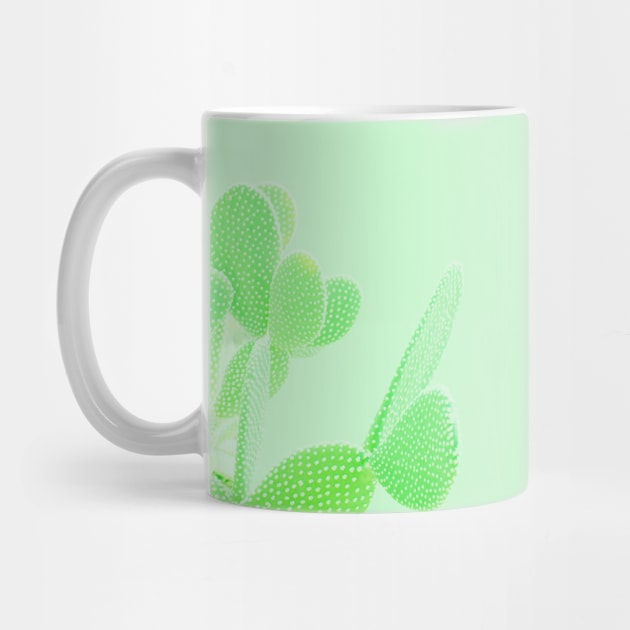 Opuntia Mint by Plantpedia